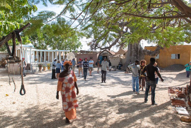 Sénégal-ile-coquillages-palmarin-jumeaux-Africaprotravel-Pierre-Forlin-17
