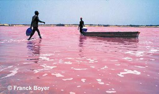 18ed17f9439840bfa30235dbcf7e09f9